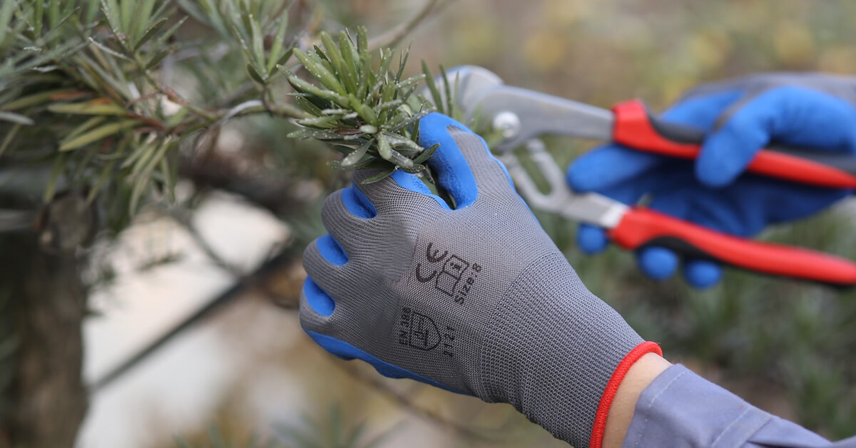 The Best Cut-Resistant Gloves for the Kitchen—and Why You Should Use Them