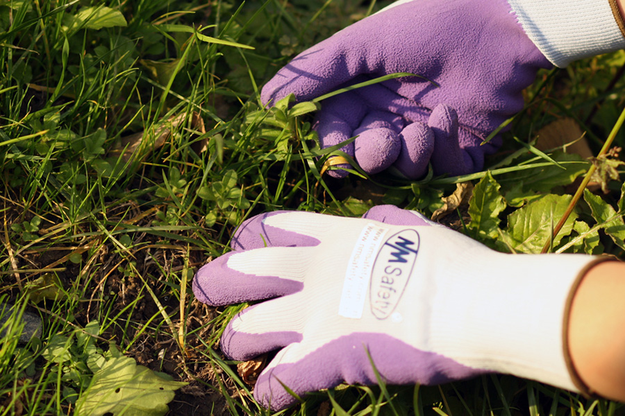 Best Gardening Gloves to Protect Your Hands